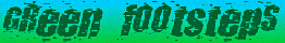 Saskia's Flower Essences - Green Footsteps logo